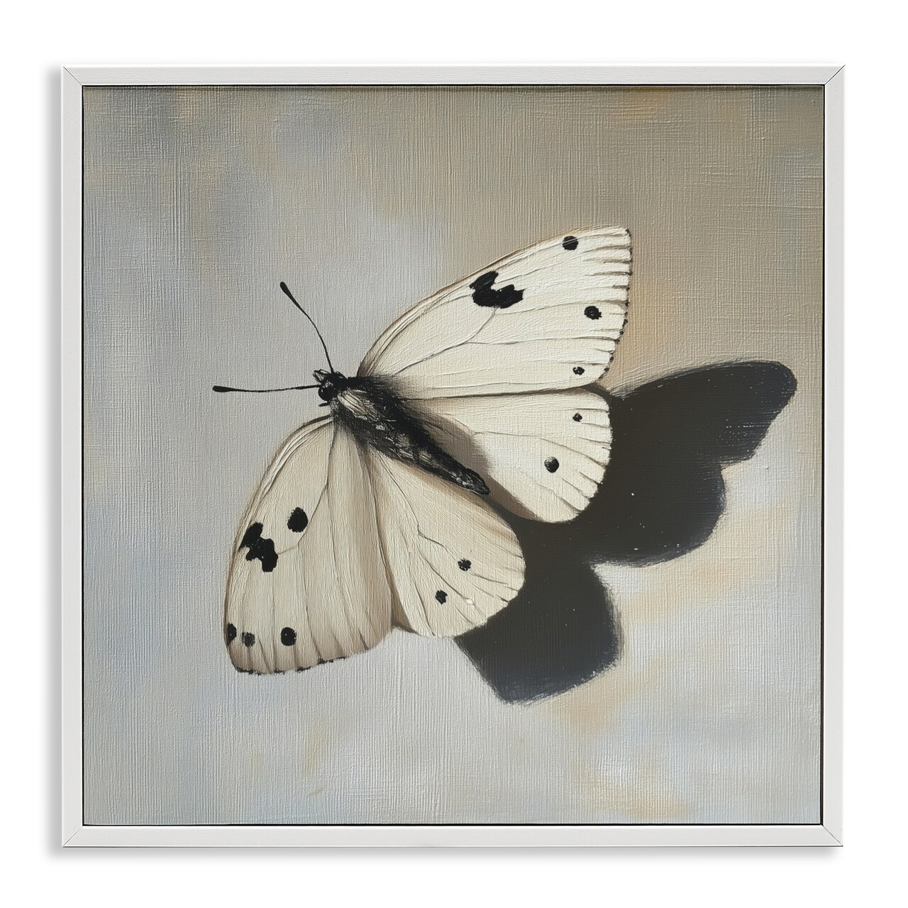 Stupell Industries Velvet's Butterfly Wings Framed Giclee, design by Svetlana Aleynikova